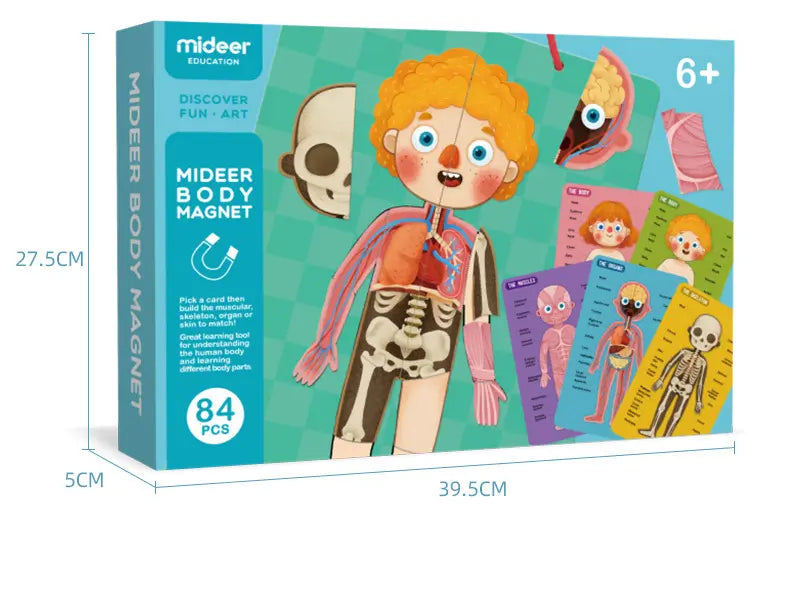 HUMAN BODY STRUCTURE PUZZLES KIDS ORGANS COGNITIVE TOYS