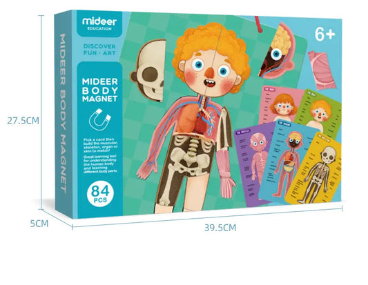 HUMAN BODY STRUCTURE PUZZLES KIDS ORGANS COGNITIVE TOYS